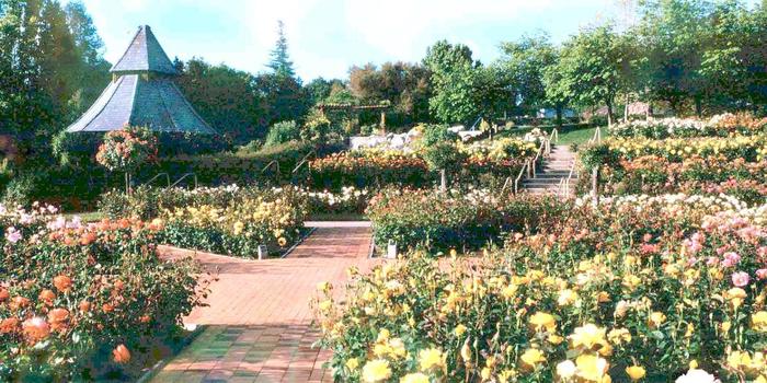 Gardens At Heather Farms Best Idea Garden The Gardens At Heather Farm Wedding Fasci Garden