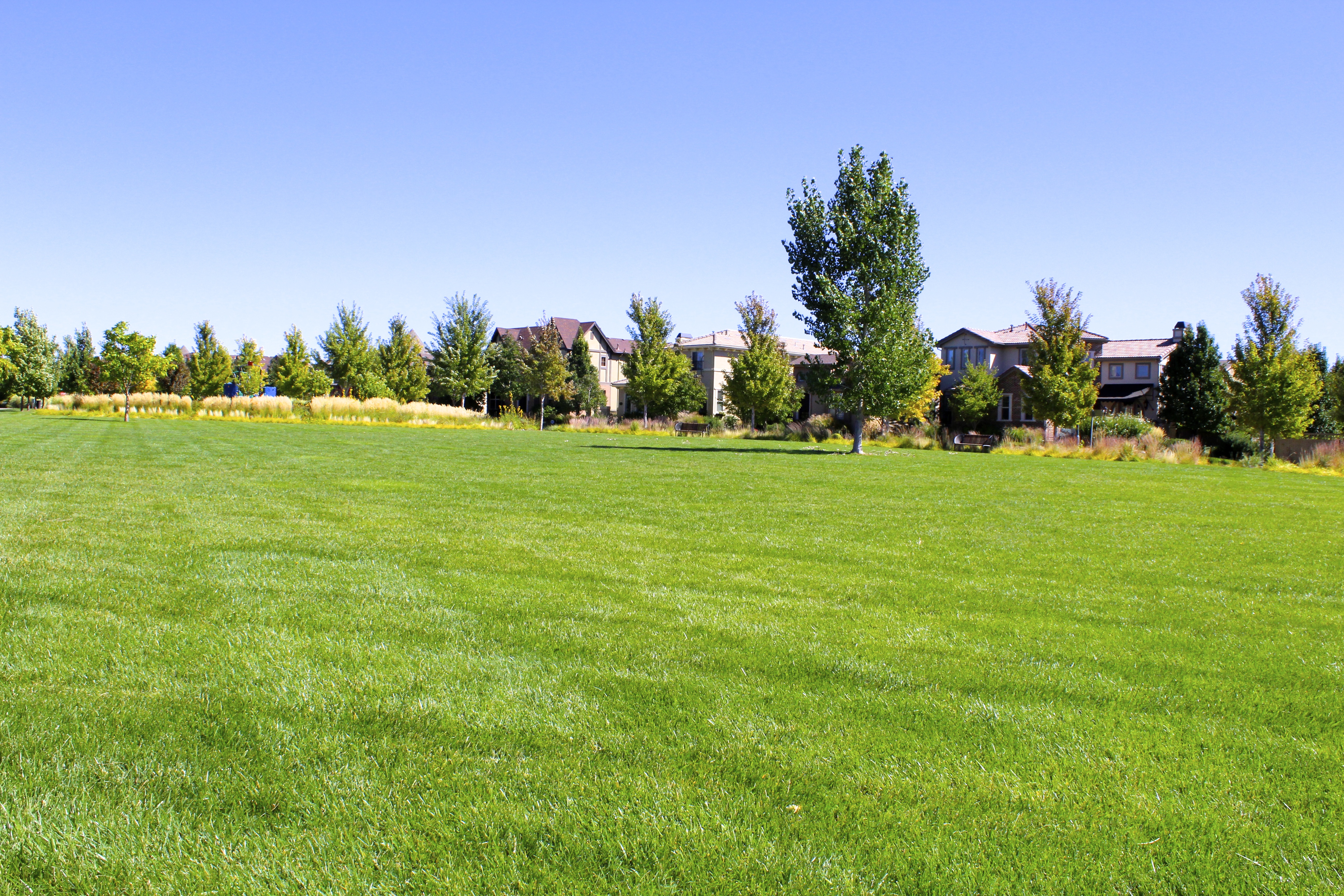 Summer Park, photo 6
