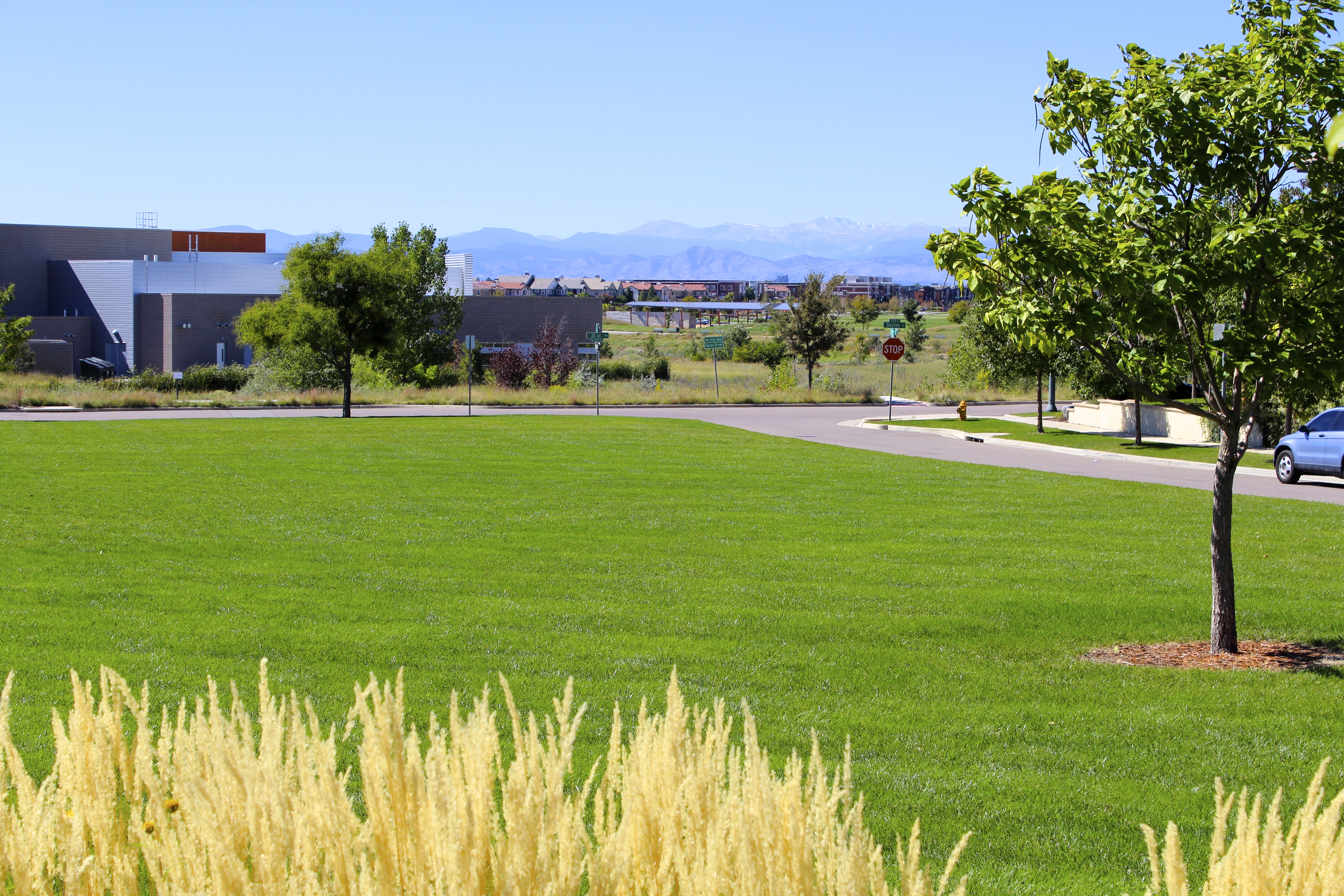 Summer Park, photo 5
