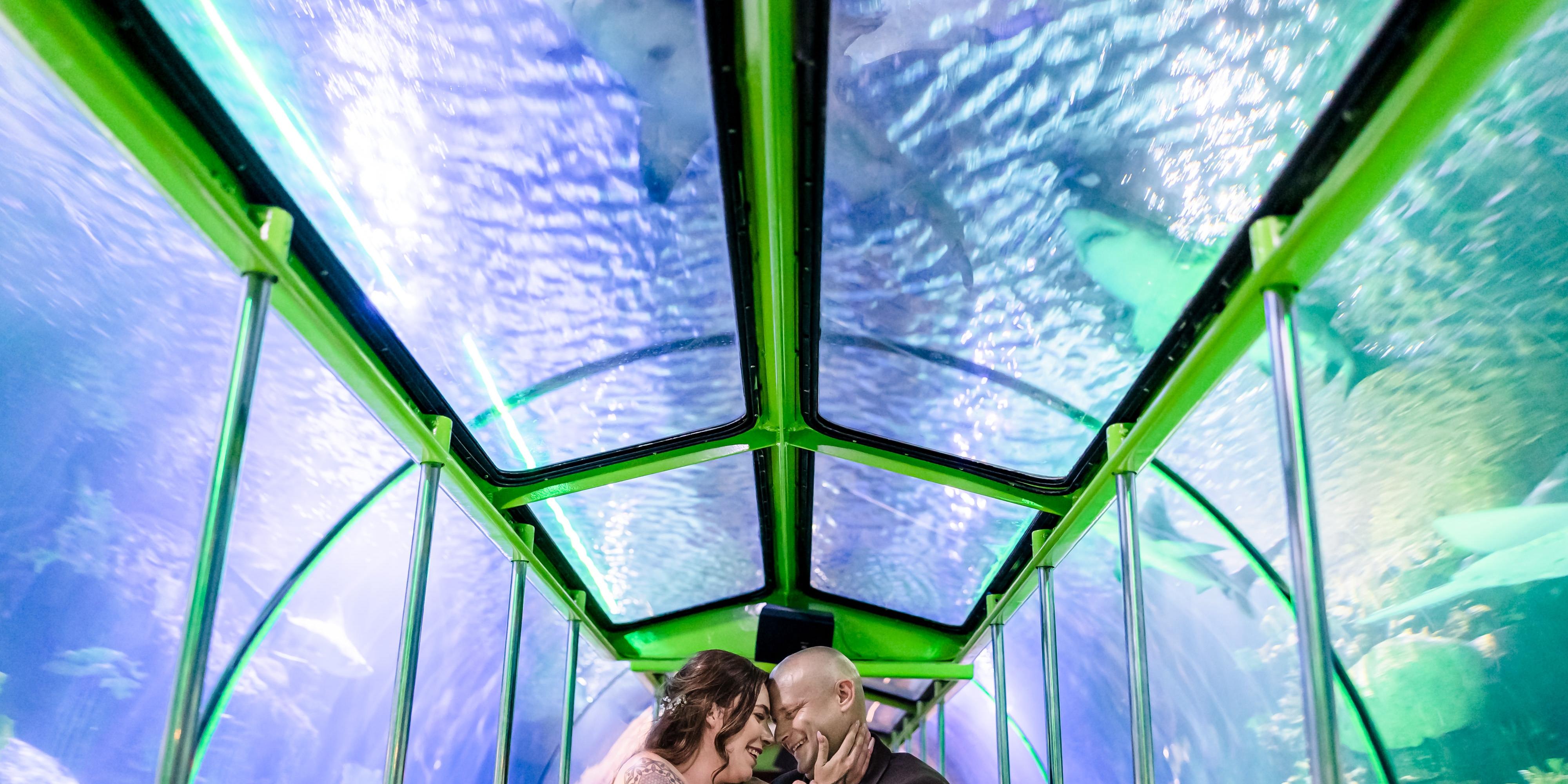 The Nautilus Ballroom at the Houston Downtown Aquarium weddings in Houston TX