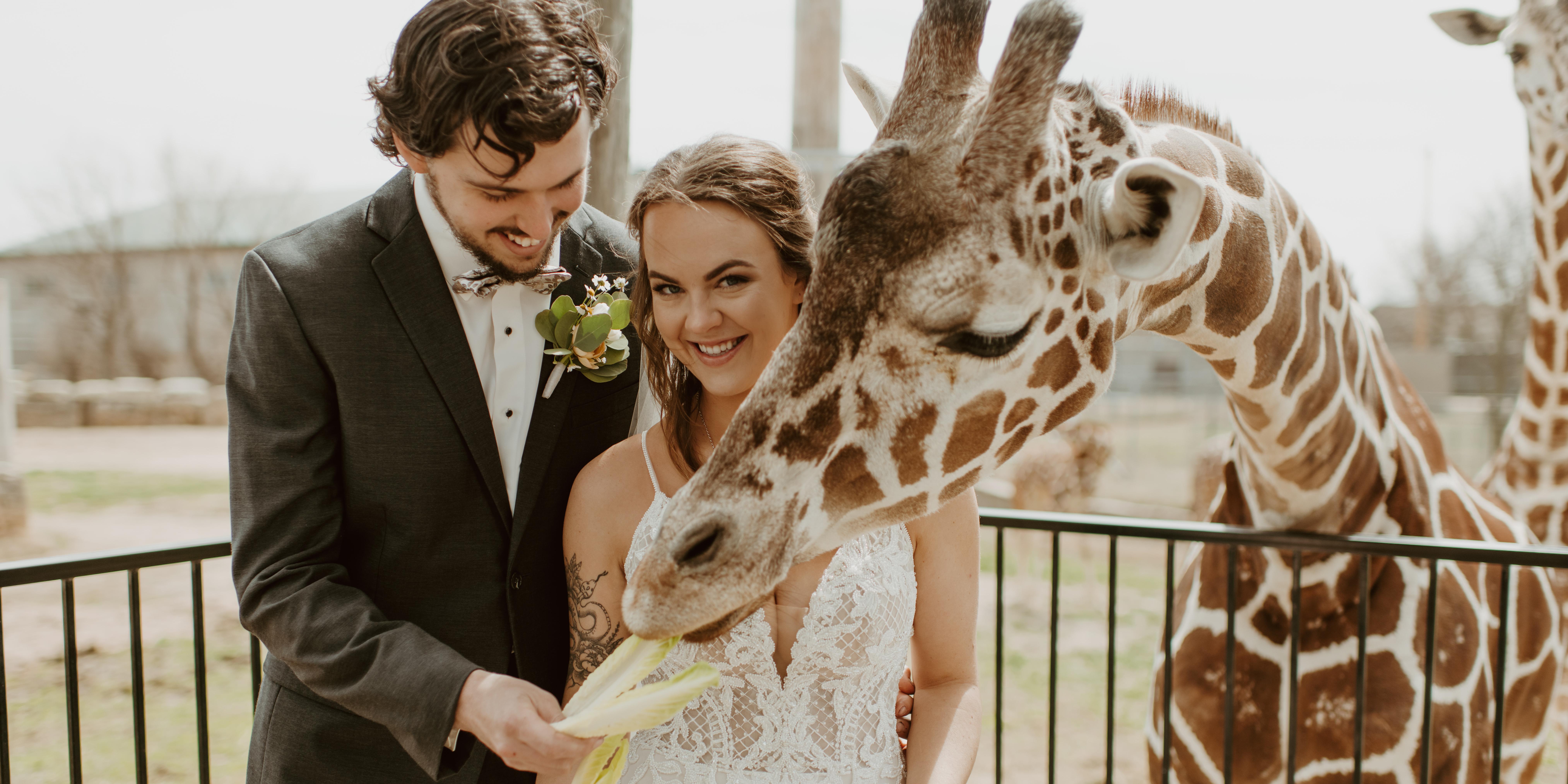 Tanganyika Wildlife Park weddings in Goddard KS