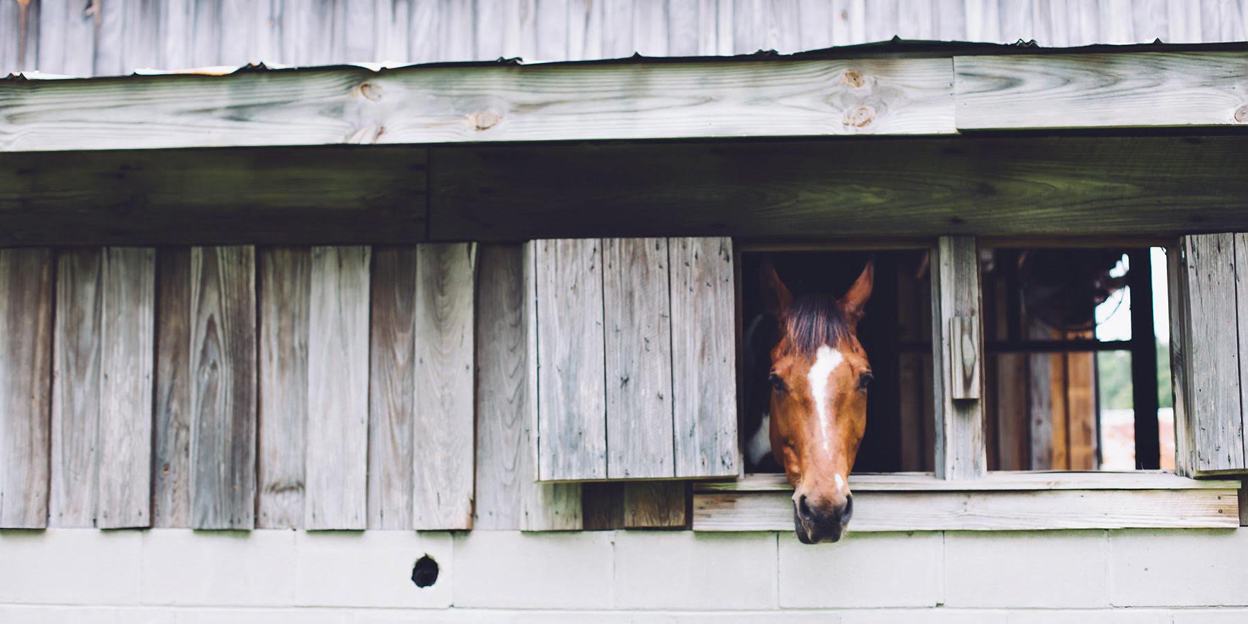 The Stables at Boals Farm weddings in Charleston SC