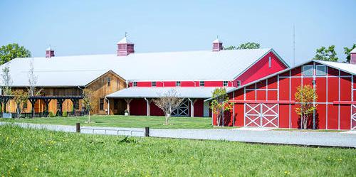 Shooting Star Horse Farm weddings in Greensboro NC