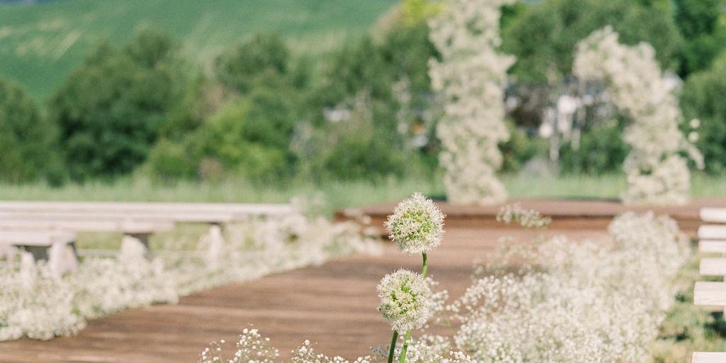 Foster Creek Farm weddings in Belgrade MT