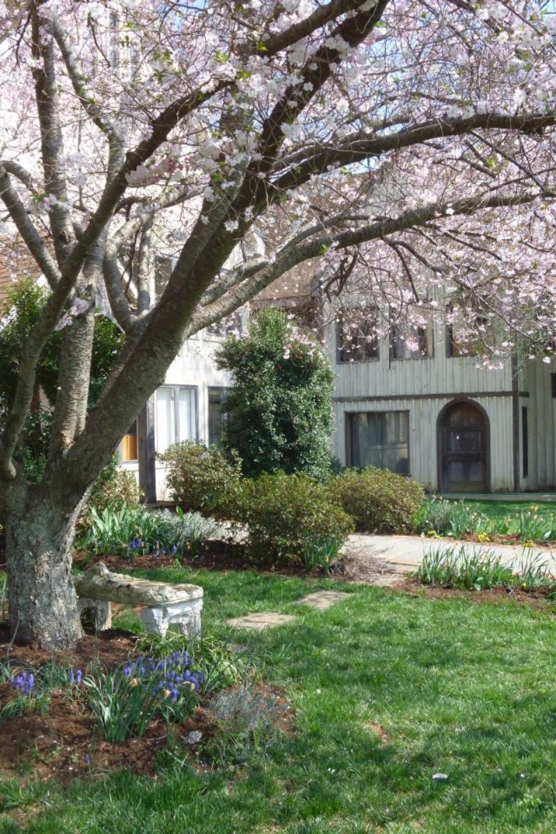 First Colony Winery Weddings Get Prices for Wedding Venues in VA