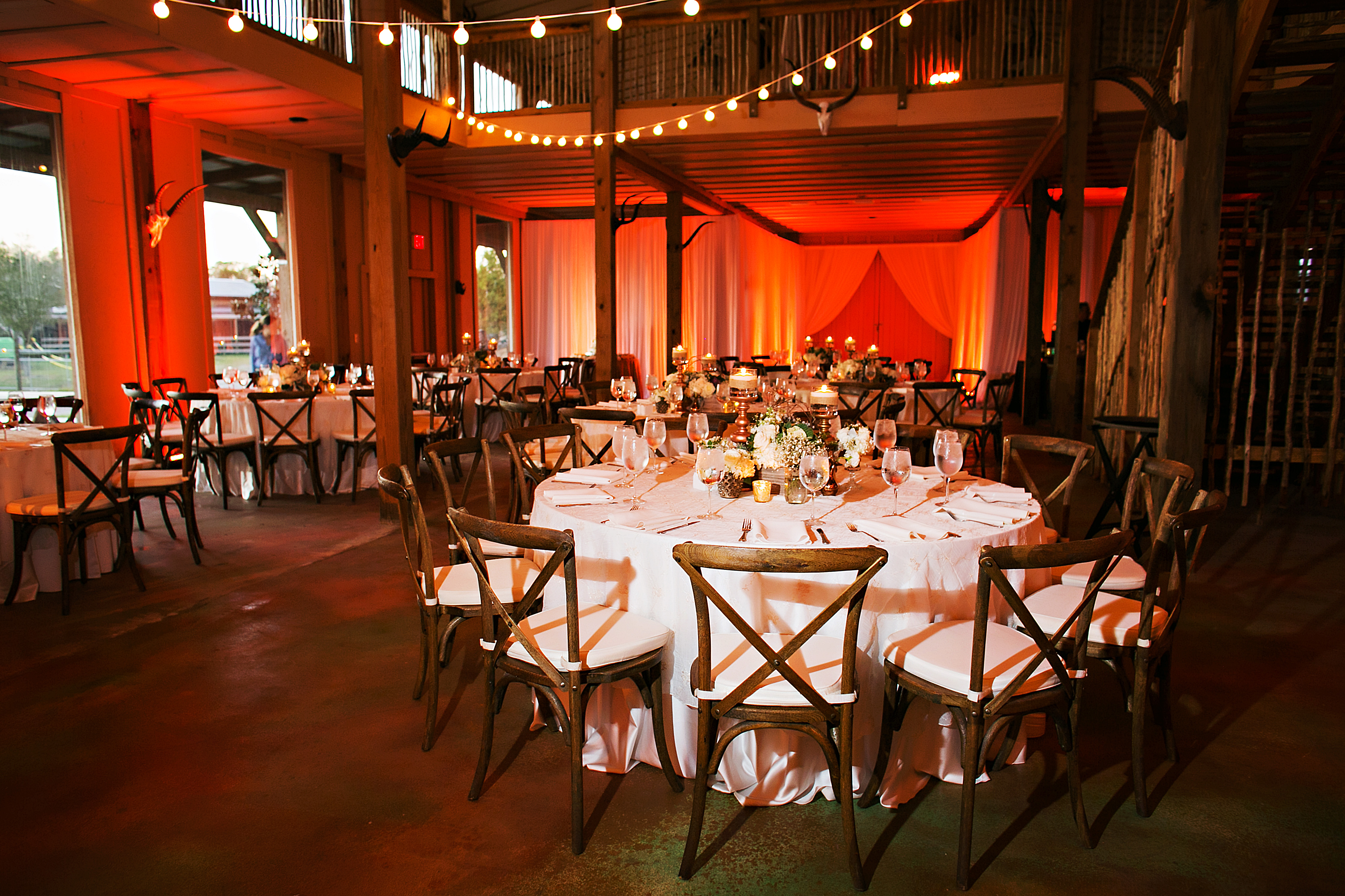 Safari Venues