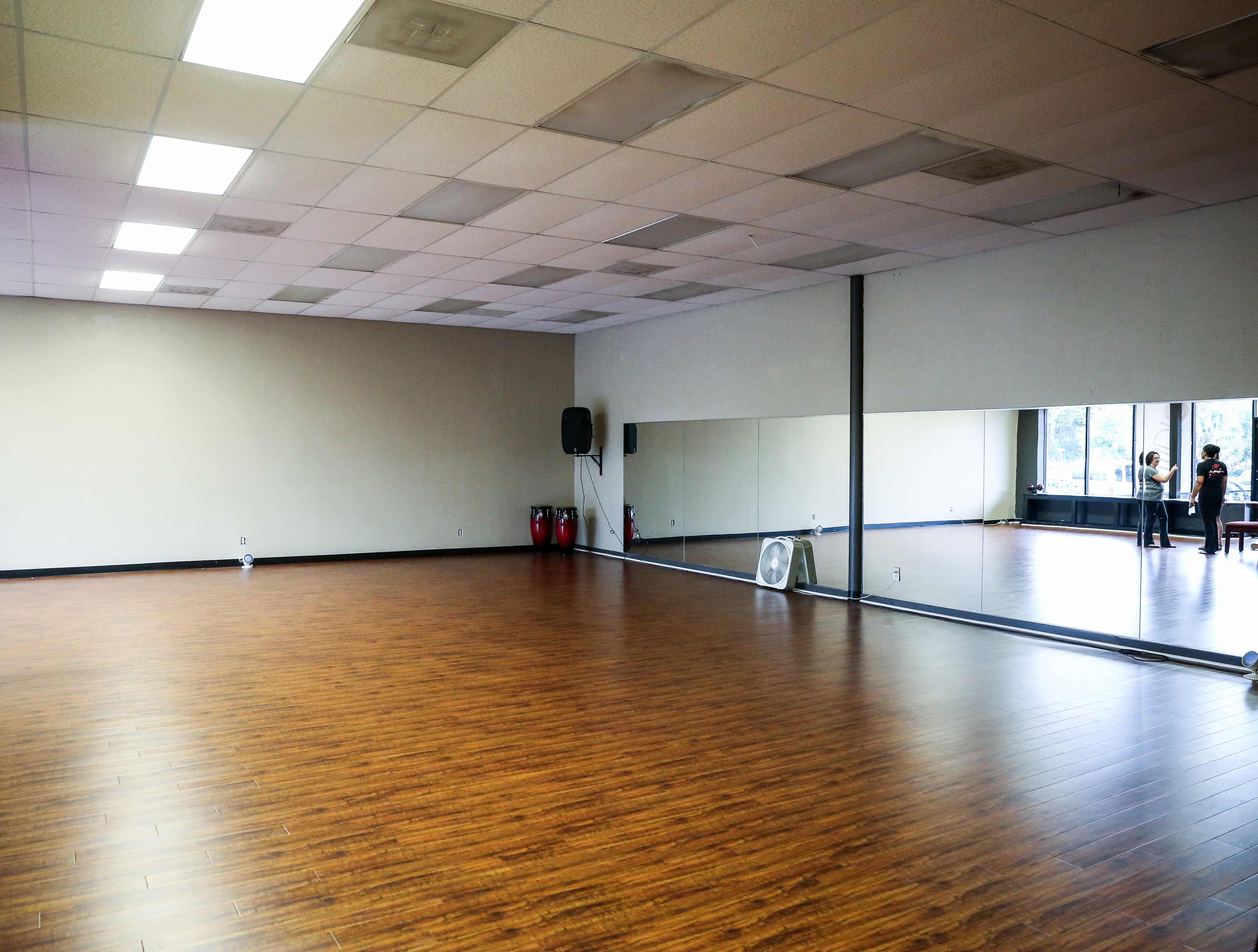 Studio D, photo 4