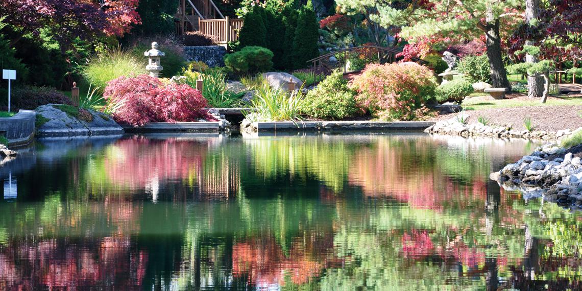 Schedel Arboretum & Gardens weddings in Elmore OH