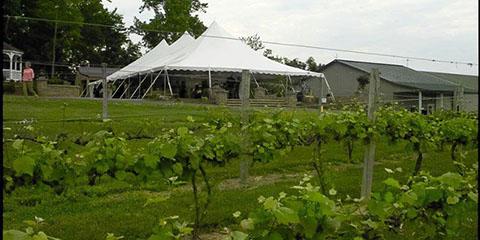 Virginia Mountain Vineyards weddings in Fincastle VA